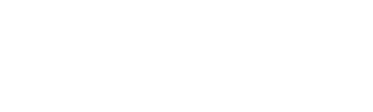 e. solutions